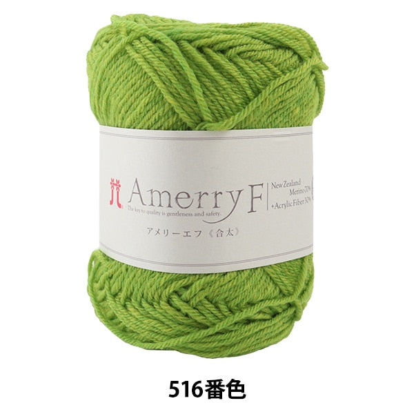 Autumn / Winter Wool "Amerry F (Ameyev) (Gota) 516" Hamanaka Hamanaka