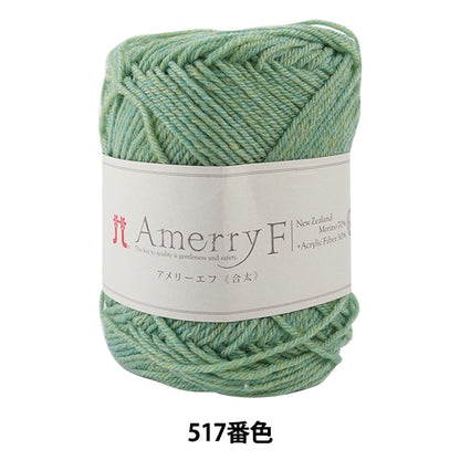 Herbst / Winterwolle "Amerry F (Ameyev) (Gota) 517" Hamanaka Hamanaka