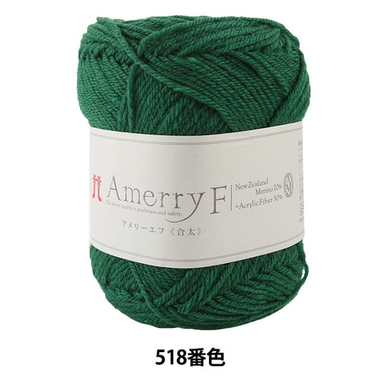 Automne / Winter Wool "Amery F (Ameyev) (Gota) 518" Hamanaka Hamanaka