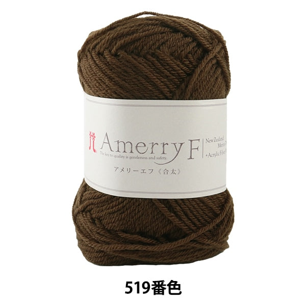 Herbst / Winterwolle "Amerry F (Ameyev) (Gota) 519 Farbe" Hamanaka Hamanaka