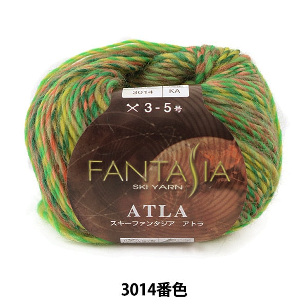 Herbst / Winterwolle "Fantasia Atla (Fantasia Atra) 3014 Farbe" Skiyarn Skigarn