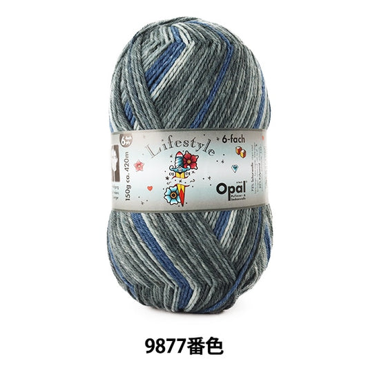 ソックヤーン 毛糸 『Lifestyle (ライフスタイル) 6ply 9877番色』 Opal オパール