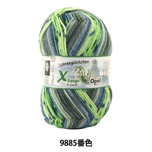 ソックヤーン 毛糸 『Snowdrop(スノードロップ) Xlarge 8ply 9885番色』 Opal オパール