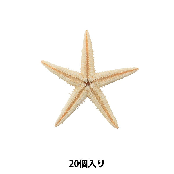 Zubehörmaterial "Shell Parts Star Fish 018"