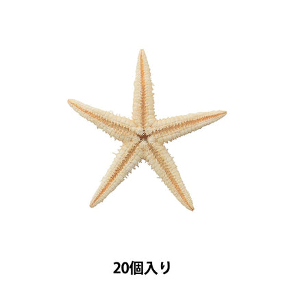 Matériau accessoire "Shell Parts Star Fish 018"