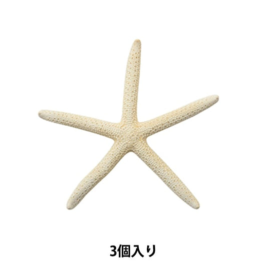 Accessory material "Shell Parts White Star Fish Small 066"