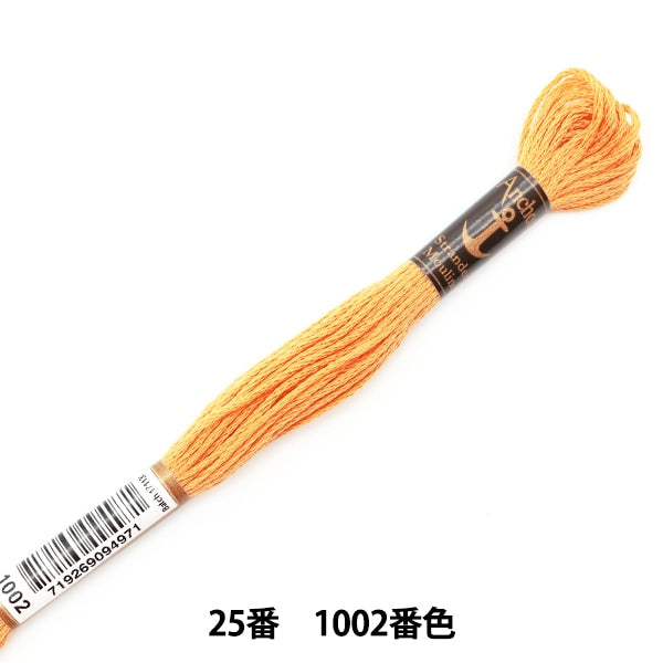 Fil de broderie "Anchor (ancre) 25th brodery thread 1002 couleur"