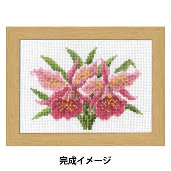 Kit di ricamo "12 mesi Flower Frame Gennaio Cattley Marie Catholine Collection 7506" Olympus Olim Pass