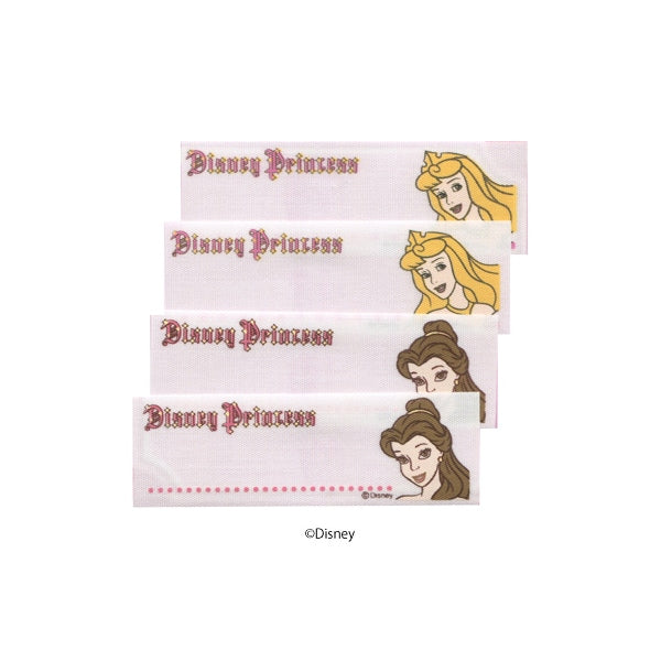 Emblema "Disney Name Etichetta Aurora Princess Bell My100" Pioneer Pioneer