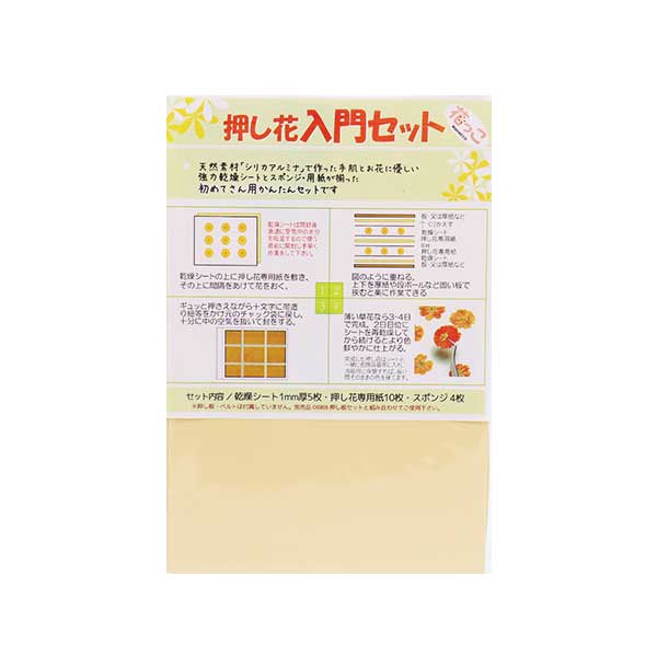 Push flower kit "Introduction to Hanakko Set OS954"