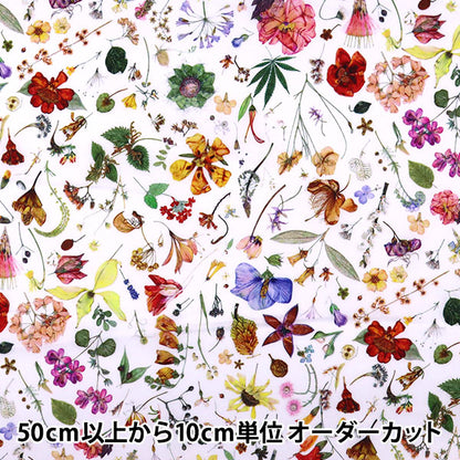 [De la quantité 5] Liberty Liberty Print Tanalone Floral Eve Liberty Japan Liberty Japon