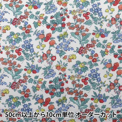 [Aus 5] Stoff "Liberty Liberty Print Tanalone Nancy Ann 3286253-se" Liberty Japan