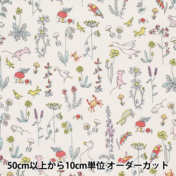 [From quantity 5] Fabric "Liberty Liberty Print Piccadilly Poppin Theo 3635176-AP" Liberty Japan