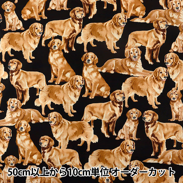 [Aus Menge 5] Stoff "Inkjet-Druck Golden Retriever C4892-Golden" USA Baumwolle