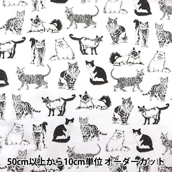 [From quantity 5] Fabric "Inkjet print cat sketch C8241-WHITE" USA cotton