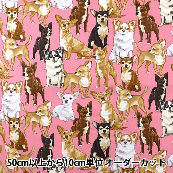 [From quantity 5] Fabric "Inkjet print Chihuahua C3191-PINK" USA cotton