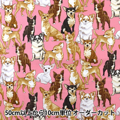 [Dalla quantità 5] tessuto "stampa a getto d'inchiostro Chihuahua C3191-pink" Cotton USA