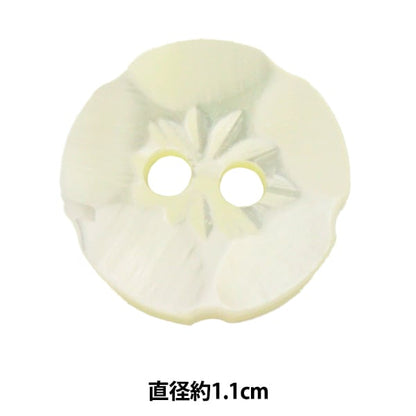 Taste "Shell -Taste 1.1CM S3009"