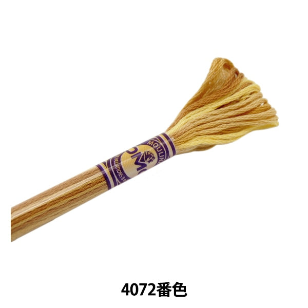خيط التطريز "DMC 25th خيط التطريز اختلاف اللون 417F 4072nd اللون" DMC DMC