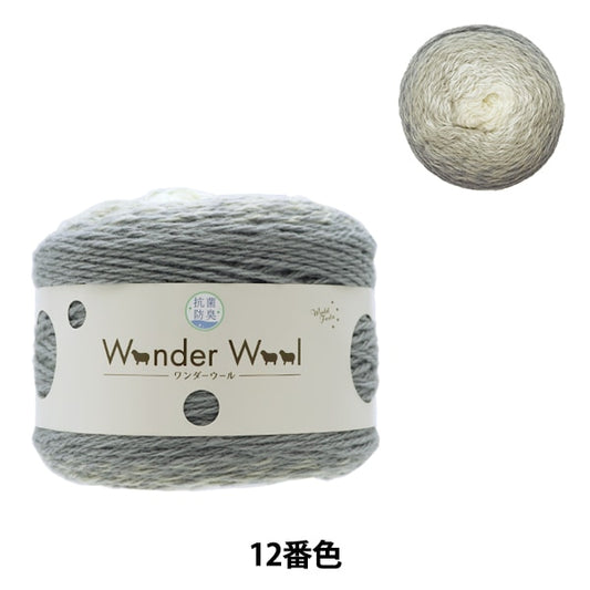 Fall and winterYarn "Antibacterial Wonder Wool 12th Color & White" WORLD FESTA World Festa