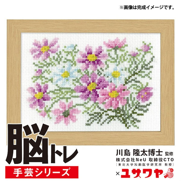 Embroidery kit "brain training handicraft cross stitch cosmos YN-20"