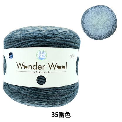 Lana autunnale / inverno "Wonder antibatterico Wool 35th Color Turquoise & Blue" World Festa Festa