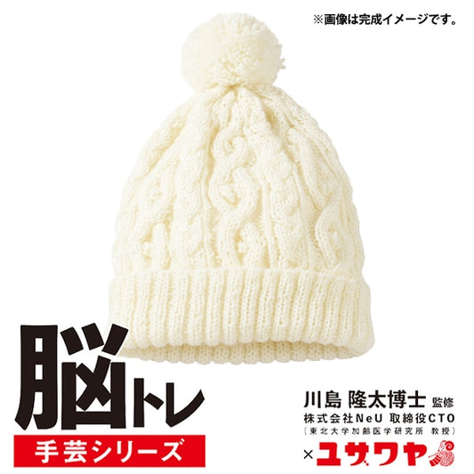 Knitting kit "brain training handicraft knitting kit kit Alan pattern hat white YNB-4"