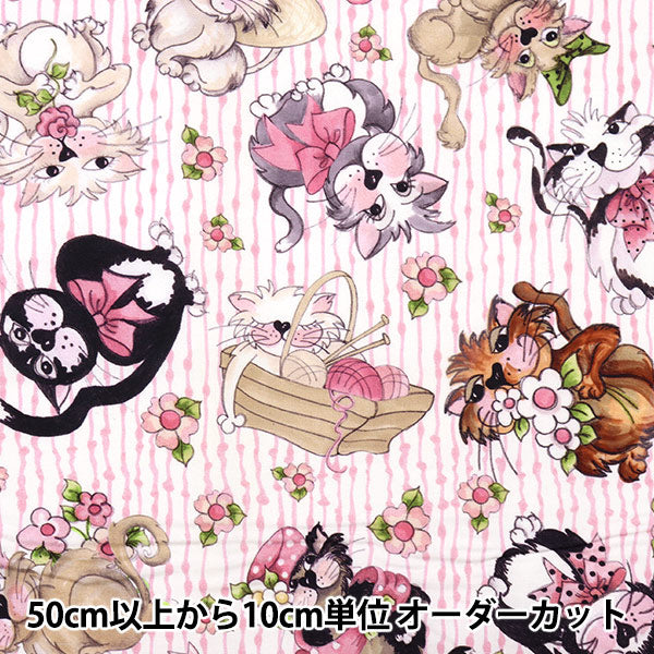 [De la quantité 5] Tissu "USA Cotton Loralie Designs Fancy Cats 692-471"