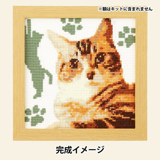 Kit di ricamo "Kit a punto croce carino animale American Short Hair 7549" Olympus