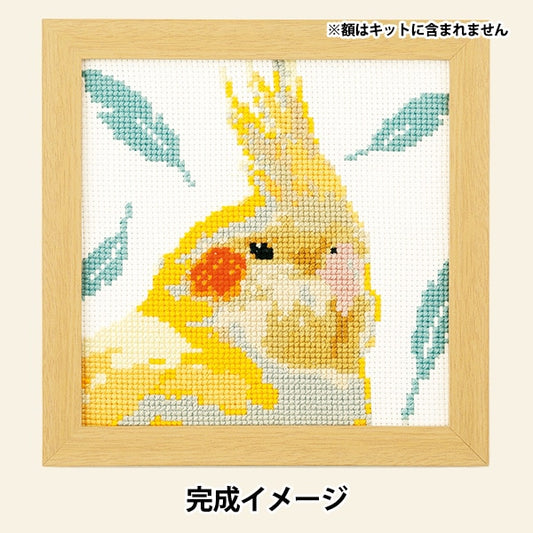 Embroidery kit "Cross stitch kit cute animal cockatiel 7551" Olympus