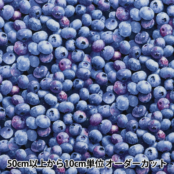 数量5から】 生地 『USAコットン ベリー・グッド ブルーベリー柄 509