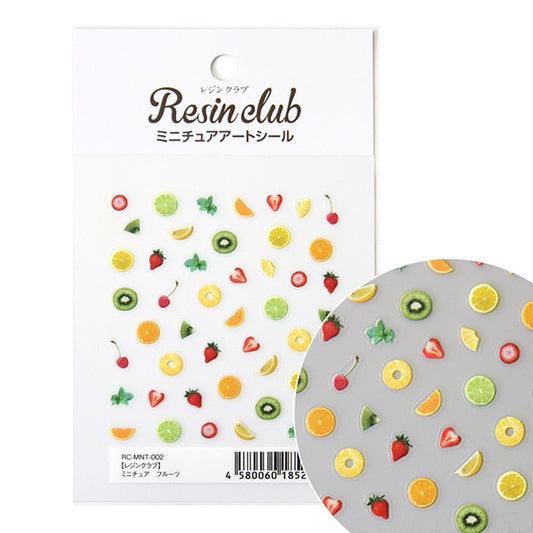 Resin material "Miniature fruit double-sided RC-MNT-002" resin club