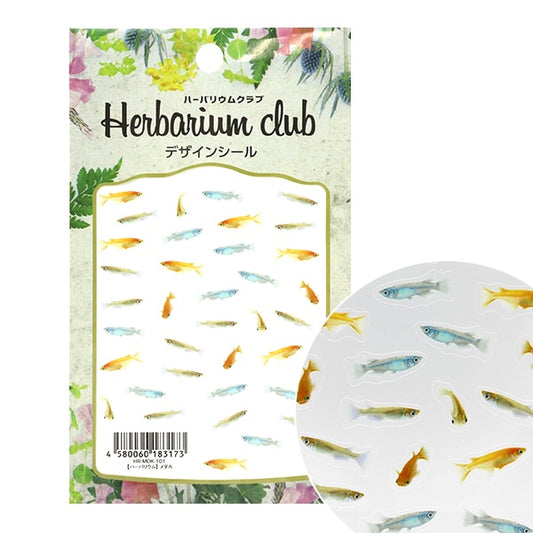 HerbariumSupplies ""HerbariumClub Medaka HR-MDK-101]