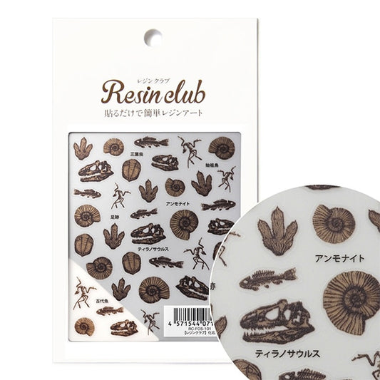 Resin material "fossil double-sided RC-FOS-101" resin club