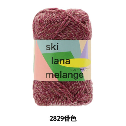 Fall and winterYarn "SKI LANA MELANGE 2829 Color" SKIYARN Ski Yarn