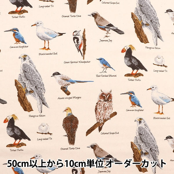 [來自數量5] 織物 “ Twill Wild Bird圖片書自然kts6890-a” COTTON KOBAYASHI