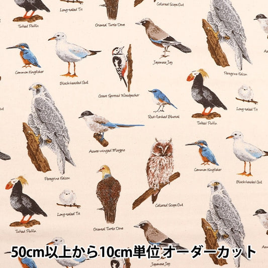 [De la quantité 5] Fabric "Twill Bird Picture Book Natural KTS6890-A" Cotton Kobayashi Cotton Kobayashi Kobayashi.