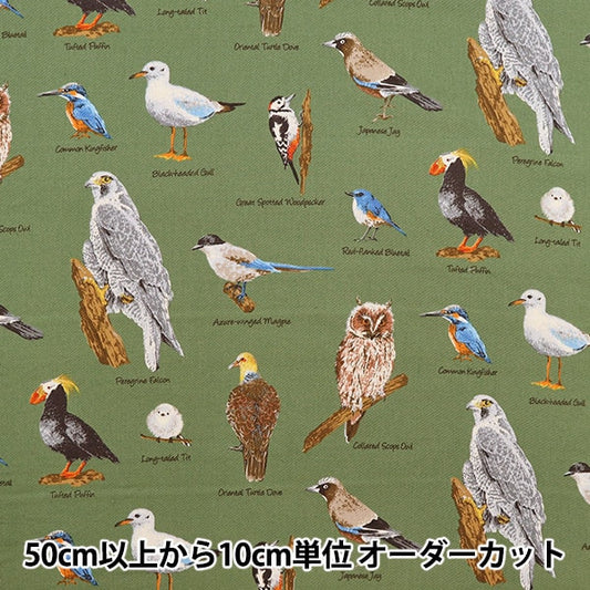 [Dalla quantità 5] tessuto "Twill Wild Bird Picture Book KTS6890-C" Cotton Kobayashi Cotton Kobayashi Kobayashi.