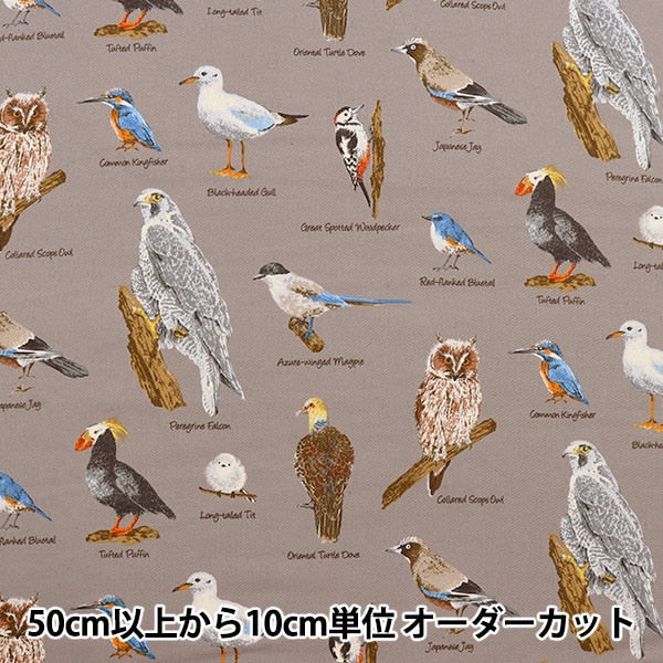 [From quantity 5] Fabric "Twill bird picture book gray KTS6890-D" COTTON KOBAYASHI