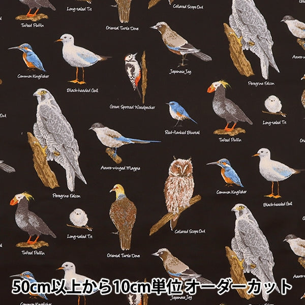 [來自數量5] 織物 “ Twill Wild Bird圖片書黑色KTS6890-E” COTTON KOBAYASHI