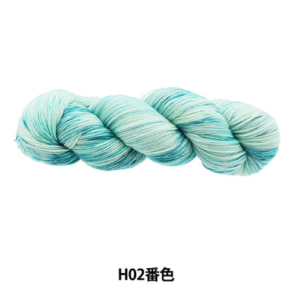 Fall and winterYarn "Colorful Tail Hand Dai H02 color AYFS22117"