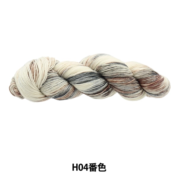 Fall and winterYarn "Colorful Tail Hand Dai H04 Color AYFS22117"