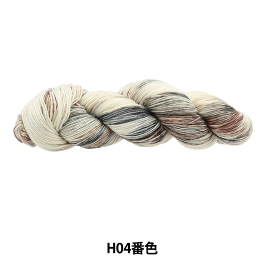 Otoño / Winter Wool "Colorida Tail Hand Dai H04 Color ayfs22117"