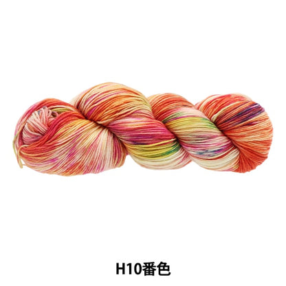 Fall and winterYarn "Colorful Tail Hand Dai H10 color AYFS22117"