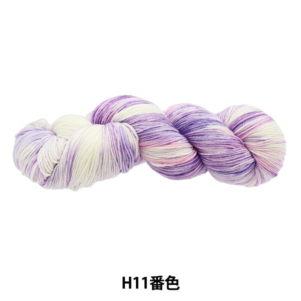 Fall and winterYarn "Colorful Tail Hand Dai H11 Color AYFS22117"