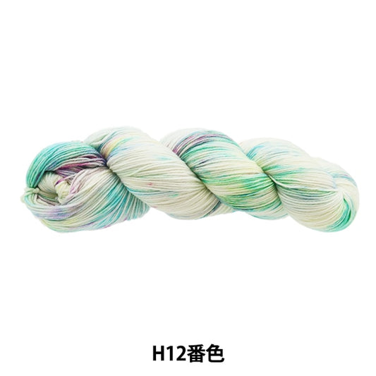 Otoño / Winter Wool "Colorida Tail Hand Dai H12 No. AYFS22117"