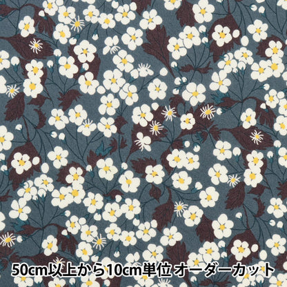 [Aus 5] Stoff "Liberty Liberty Print Tanalone Mizzi 3638287-Fe" Liberty Japan Liberty Japan