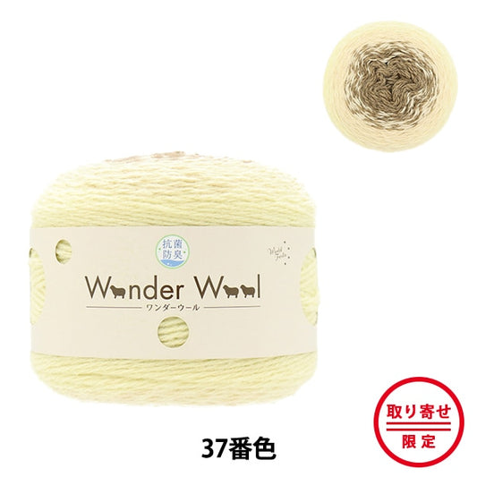 Lana autunnale / inverno "antibatterica Wonder Wool 37th Color" World Festa