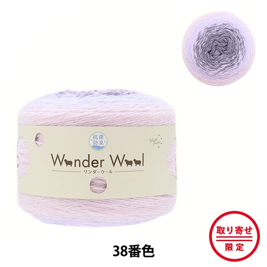 Laine d'automne / hiver "Antibactérien Wonder Wool 38th Color" World Festa