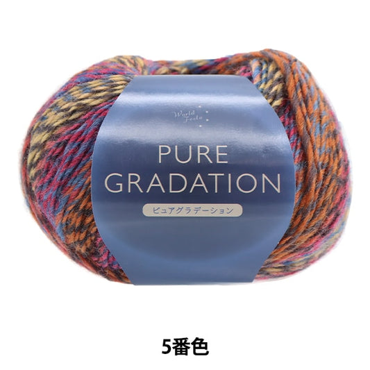 Fall and winterYarn "Pure gradation 5th color engine ZH1915"